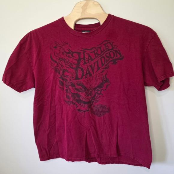 Harley-Davidson Other - Harley Davidson T-Shirt Mens 2XL Maroon Skull Flame Bald Eagle Marquette MI 2012